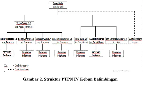 Gambar 2. Struktur PTPN IV Kebun Balimbingan 