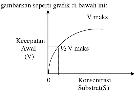 Gambar 2.1.  Grafik kecepatan awal terbentuknyua hasil reaksi (P) pada   keadaan mantap untuk berbagai konsentrasi awal substrat (S)           (Robert A