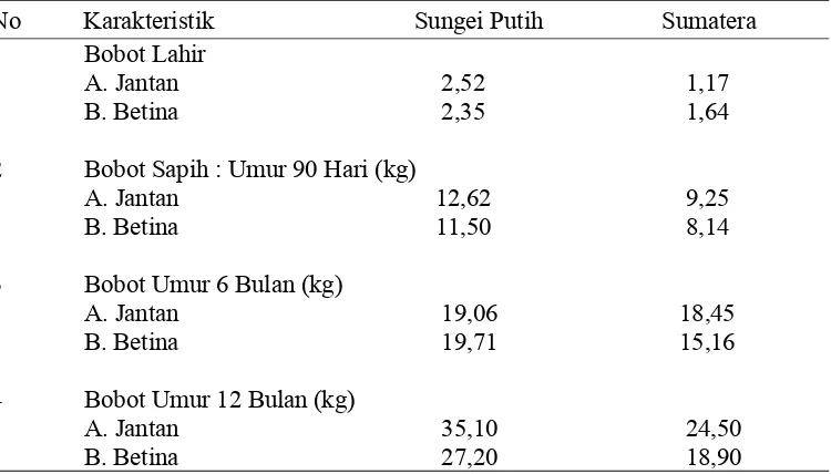 Tabel 1. Penampilan bobot lahir, sapih (6 bulan dan 12 bulan) Domba Sungei   Putih dan lokal Sumatera (kg)  