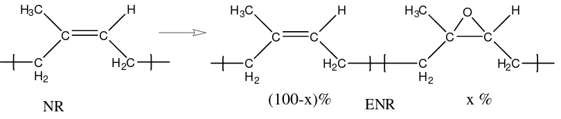 Gambar 2.5. Reaksi epoksidasi karet alam 