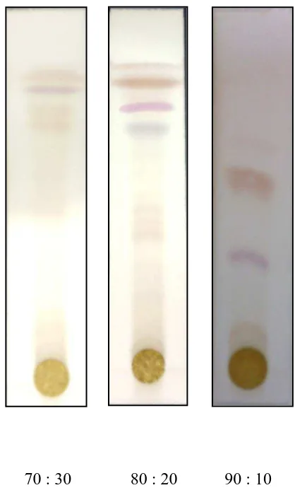 Gambar 2:Gambar kromatogram ekstrak n-heksana batang patah tulang 
