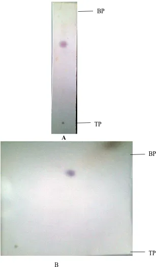 Gambar 4:Gambar kromatogram KLT satuarahdanduaarah  