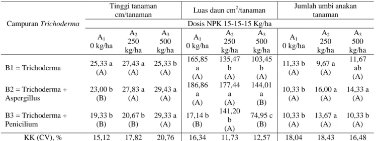 Tabel 3. Interaksi antara pupuk NPK 15-15-15 dan pupuk hayati Trichoderma terhadap tinggi tanaman, luas daun, dan  jumlah umbi anakan tanaman bawang merah pada 70 HST