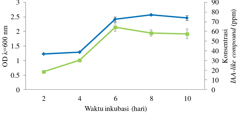 Gambar 1  Nilai OD kultur M. endophyticus G053 (       ) dan konsentrasi IAA-  like compound (ppm) (       ) yang dihasilkannya pada media TSB 50%  selama 10 hari inkubasi 