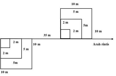 Gambar 7. Transek Pengukuran Vegetasi Mangrove berdasarkan Kategori Pohon (10 x 10 m), Pancang (5 x 5 m), dan semai (2 x 2 m) (Kusmana, 1997) 