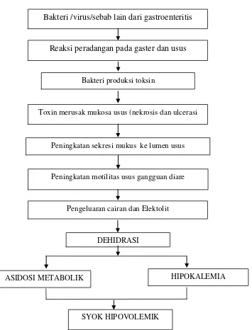Gambar 2.1. Patofisiologi Gastroenteritis (Suratun dan Lusianah, 2010) 