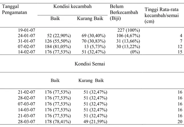 Tabel 1. Kondisi  kecambah dan semai biji kakao asal Sulawesi Tengah yang ditanam dilakukan  di Kabupaten Banyumas
