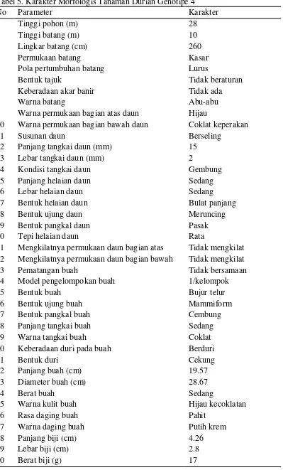 Tabel 5. Karakter Morfologis Tanaman Durian Genotipe 4 