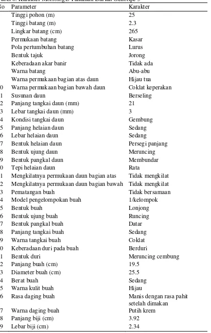 Tabel 6. Karakter Morfologis Tanaman Durian Genotipe 5 