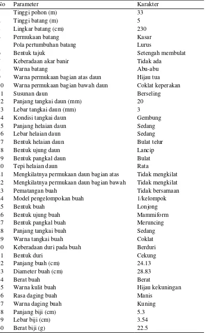 Tabel 7. Karakter Morfologis Tanaman Durian Genotipe 6 