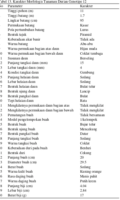 Tabel 13. Karakter Morfologis Tanaman Durian Genotipe 12 