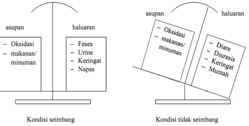Gambar 2.1 Gambaran umum asupan dan haluaran cairan tubuh (Tamsuri, 2009) 