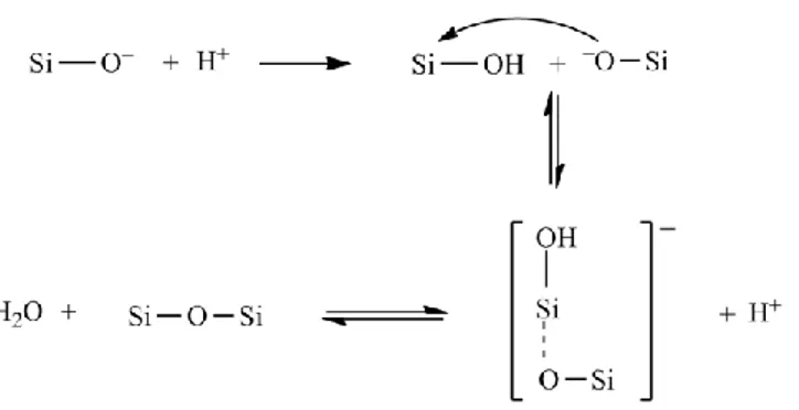 Gambar 2. Mekanisme reaksi pembentukan ikatan siloksan pada proses pembentukan 