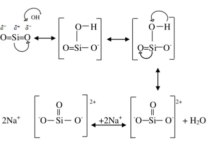 Gambar 1. Mekanisme reaksi pembentukan natrium silikat (Alex, 2005) 