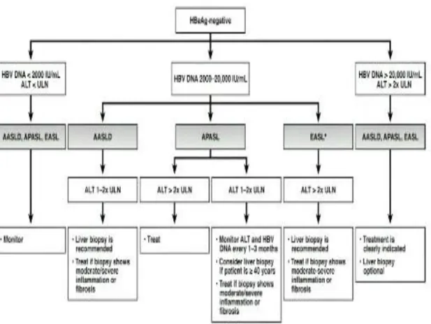Gambar 2.3. Algoritma kriteria pengobatan pasien hepatitis B kronik  dengan HBeAg negatif