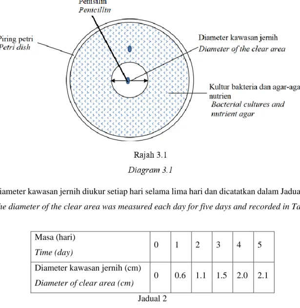 Diagram 3.1 shows an experiment to study the effect of Penicillin on the growth of bacteria