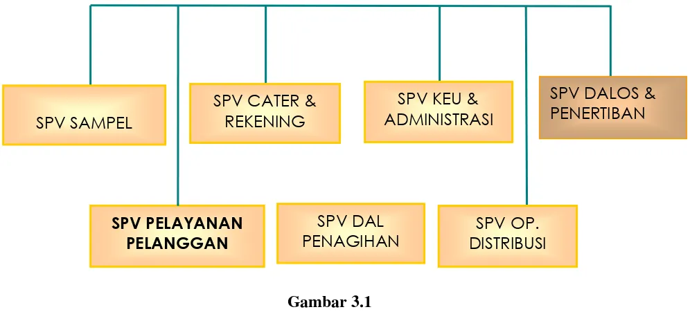 Gambar 3.1 Struktur Organisasi PT. PLN (Persero) UPJ Cijawura 