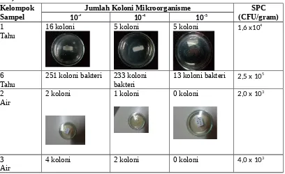 Tabel 1. Analisis Kuantitatif Mikroorganisme dengan Metode Cawan Tuang  (Pour