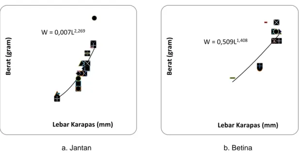 Gambar 2. Grafik Hubungan Lebar Karapas Dan Berat Kepiting Bakau Jantan Dan Betina  Nilai ‘b’ pada kepiting bakau jantan lebih tinggi dibandingkan pada betina