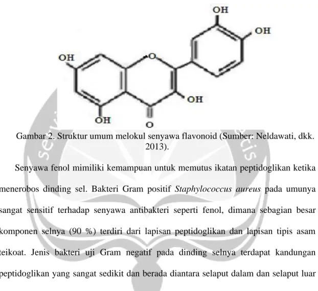 Gambar 2. Struktur umum melokul senyawa flavonoid (Sumber: Neldawati, dkk.  2013). 