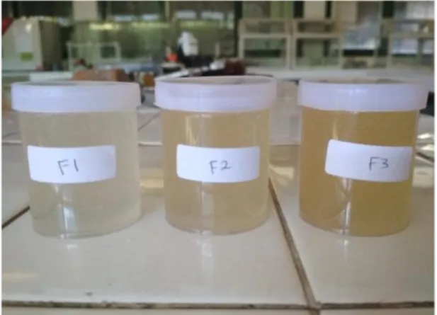 Gambar 1. Formula gel dengan konsentrasi ekstrak 1%, 3%, 5% 