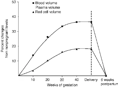 Gambar 2.1. Perubahan pada volume darah total dan komponennya (plasma 