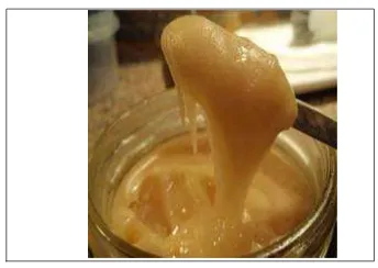 Gambar 7.Extracted Honey7 