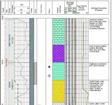 Gambar 2.1. Contoh bentuk mud log (RockWare, Inc., 2004 