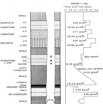 Gambar 2.5 Respon log densitas terhadap batuan (Malcolm Rider, 2002) 