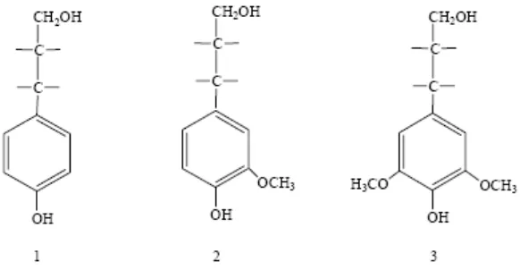Gambar 2.2 (1) p-koumaril alkohol, (2) konoferil alkohol, (3) sinapil alkohol 