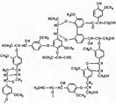 Gambar 2.3 Struktur Lignin Kraft Pine 