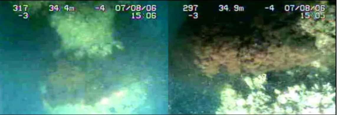 Foto 5. Hasil rekaman ROV dari pipa hulu milik ARCO/BP yang  mengalami kebocoran