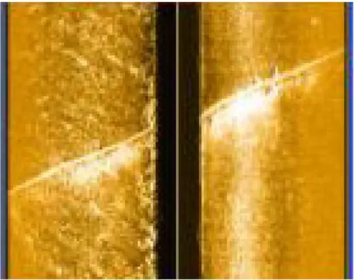 Gambar 10.  Penggunaan Side Scan Sonar pada inspeksi pipa migas (PGN, 2006 )