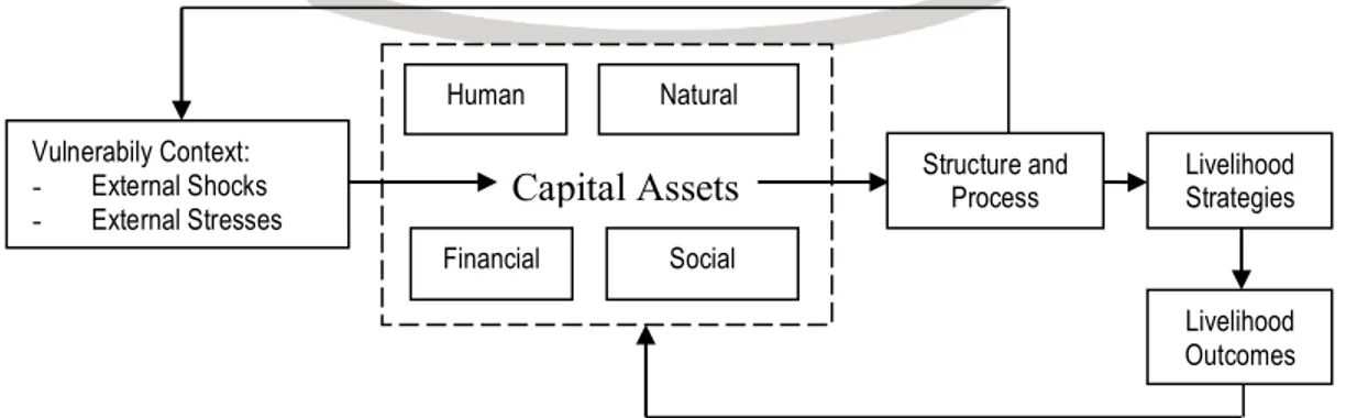 Gambar 1. Skema Coastal Livelihood System Analysis (Diadopsi dari Adrianto, 2005) Vulnerabily Context: -External Shocks -External Stresses HumanFinancial Natural Social 