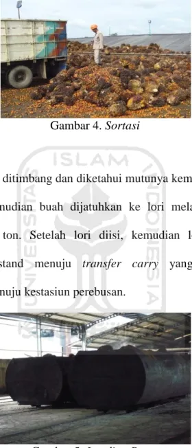Gambar 4. Sortasi  c.  Loading Ramp 