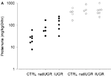Grafik 2.2. Jumlah proteinuria pada PJT spontan, PJT buatan dan kontrol  pada tikus( Schreuder, et al.,.,2005) 
