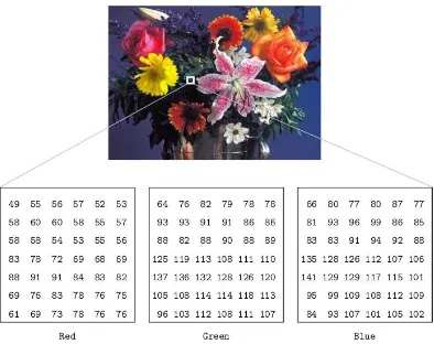 Gambar 2.7 : Matriks representasi citra dalam RGB