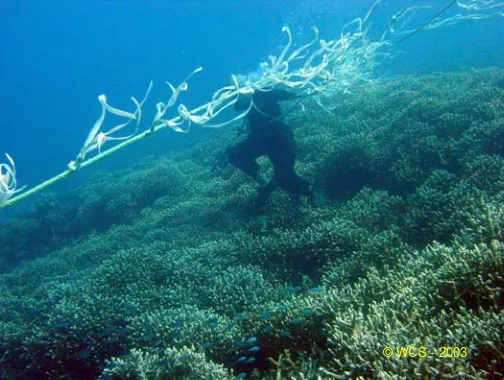 Gambar 2. Salah satu bentuk penggunaan alat tangkap yang merusak ekosistem terumbu karang di Kep