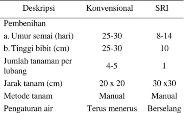 Tabel 1.   Perbandingan  metode  konvensional  dan  metode SRI di Indonesia  