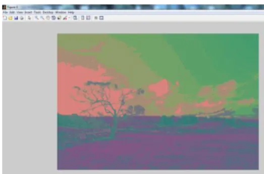 Gambar  8.  Hasil  codebook  dari  fitur  warna  RGB 
