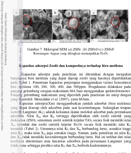 Gambar 7  Mikrograf SEM (a) ZSFe  (b) ZSFeO (c) ZSFeF 