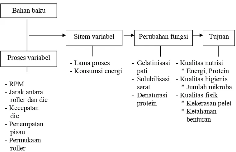Gambar 2. Skema Hubungan Beberapa Faktor Dalam Proses Pelleting                              (Thomas  et al., 1997)  