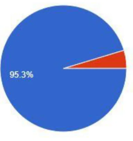 Gambar 4. 3 Pie Chart Demografi Pengguna Instagram 