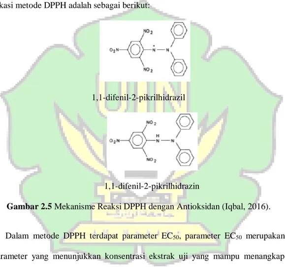 Gambar 2.5 Mekanisme Reaksi DPPH dengan Antioksidan (Iqbal, 2016). 
