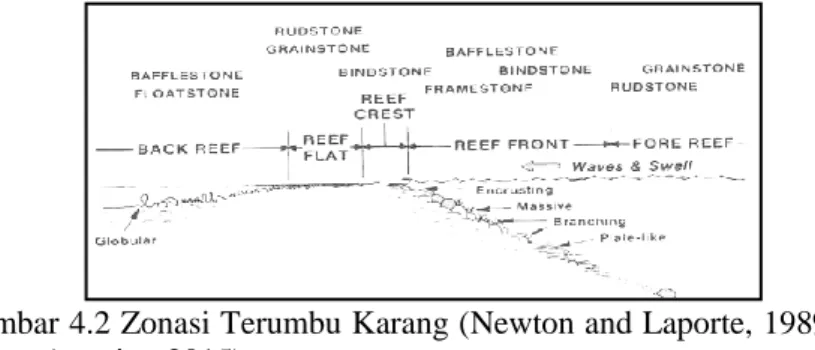 Tabel 4.2 Laju Sedimentasi di Perairan Sekitar PLTU Paiton  