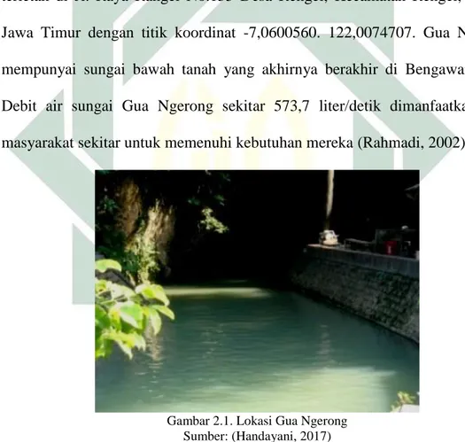 Gambar 2.1. Lokasi Gua Ngerong  Sumber: (Handayani, 2017) 