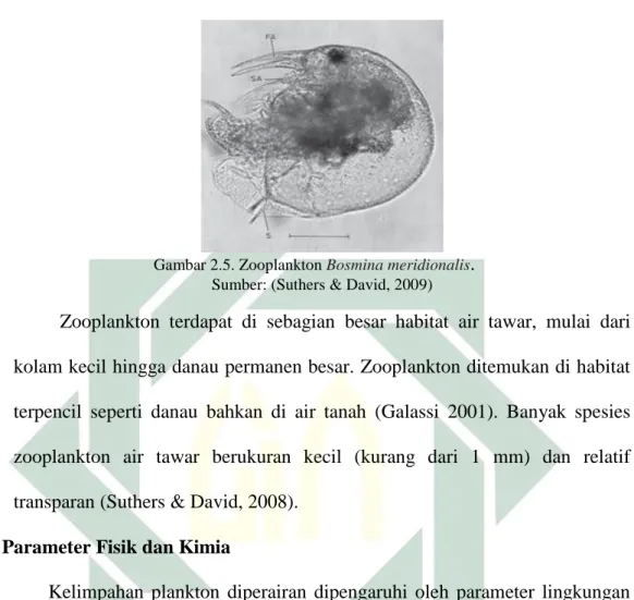 Gambar 2.5. Zooplankton Bosmina meridionalis .