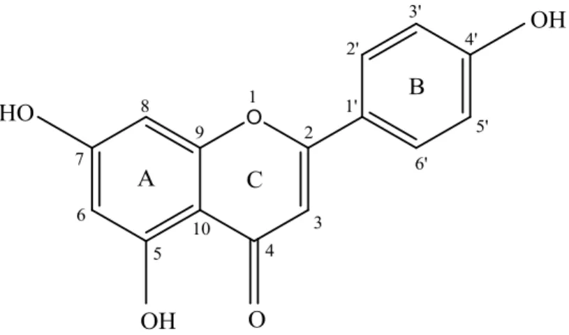 Gambar 2.9 Struktur Flavonoida 
