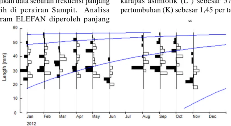 Figure 1. Carapace length distribution of white shrimp in Sampit waters January-November 2012
