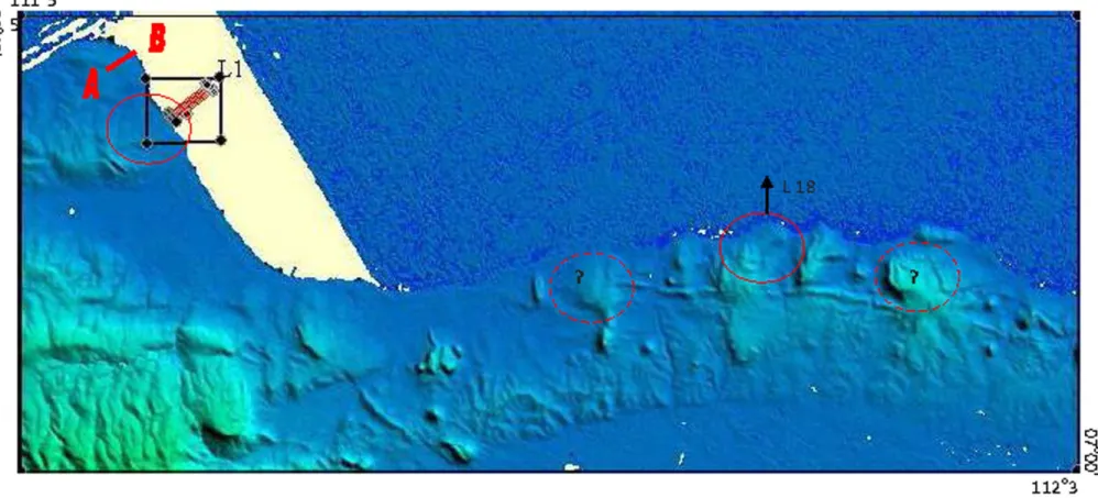 Gambar 7.  Peta DEM (Digital Elevation Model) daerah Tuban dan sekitarnya  yang menunjukkan morfologi doming yang ditafsirkan sebagai akibat adanya struktur diapir